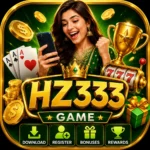 HZ333 Game